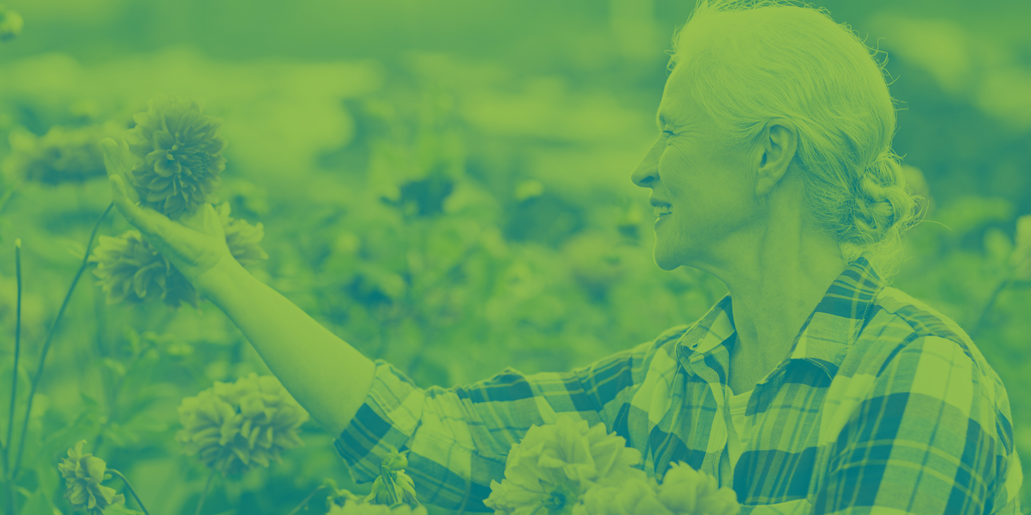 Teal and lime green duotone image of an elderly woman picking flowers from an outdoor patch.